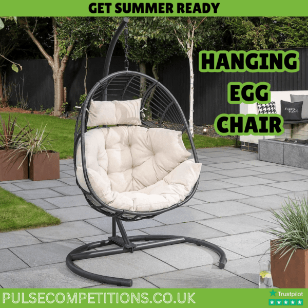Hanging Egg Chair