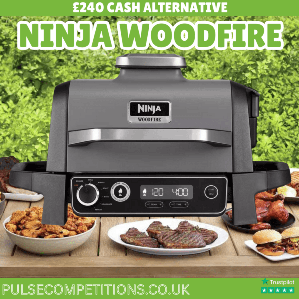 Ninja Woodfire Electric BBQ Grill & Smoker