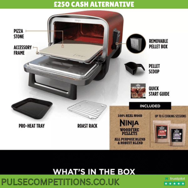 Ninja Woodfire 8 in 1 Electric Outdoor Pizza Oven - Image 3