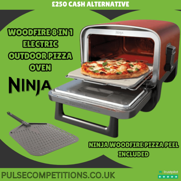 Ninja Woodfire 8 in 1 Electric Outdoor Pizza Oven