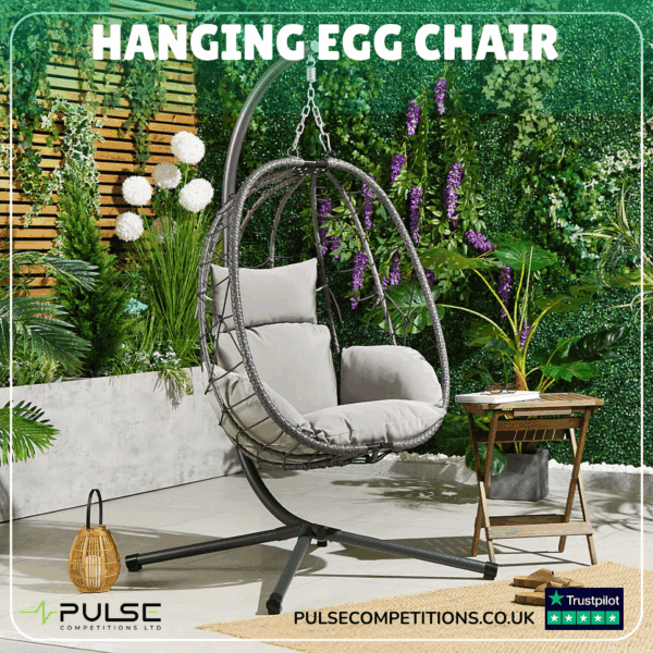 Hanging Egg Chair